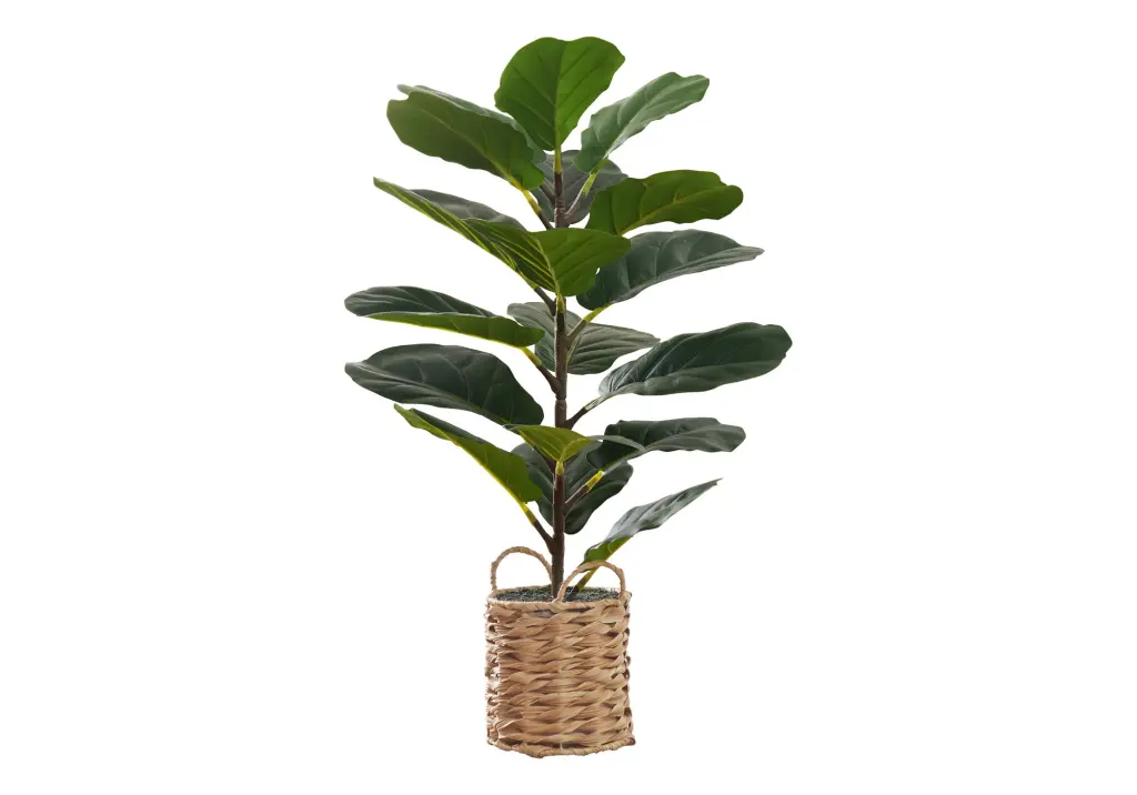 Artificial Fiddle Tree Plant 28 Inch Tall - Realistic Fake Floor Greenery Indoor Decor 8th street living