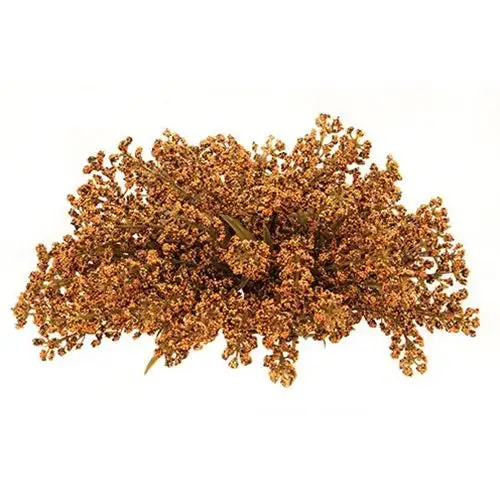 Berry Pinecone Ring Natural Rustic Table Centerpiece CWI