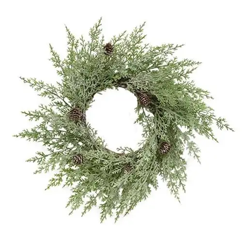 Cream Weeping Pampas Grass Branch Neutral Home Decor CWI