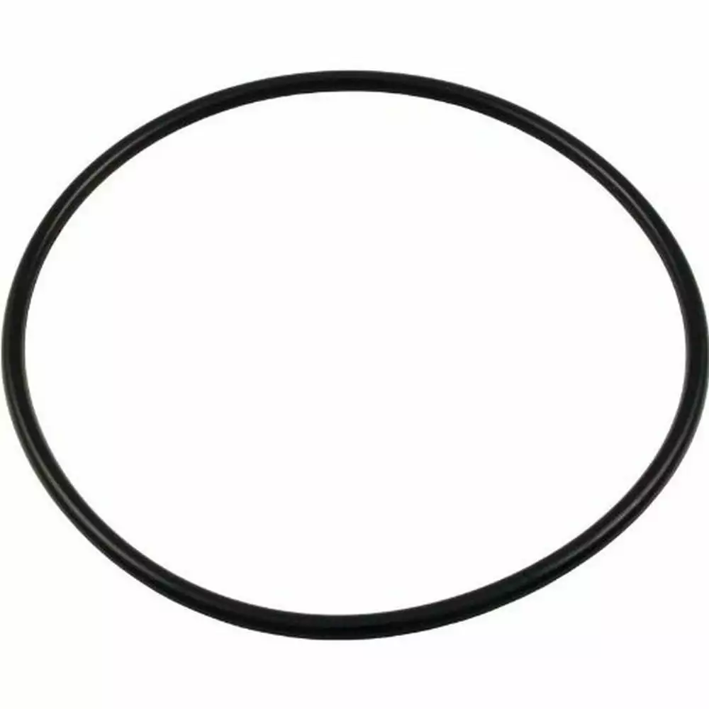 Pentair PacFab 39200300 Volute O-Ring Eagle Pump