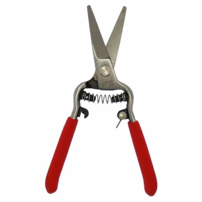 Zenport Needle Nose Shear Bonsai Orchids Mini 6 . - Box 10 Zenport Industries