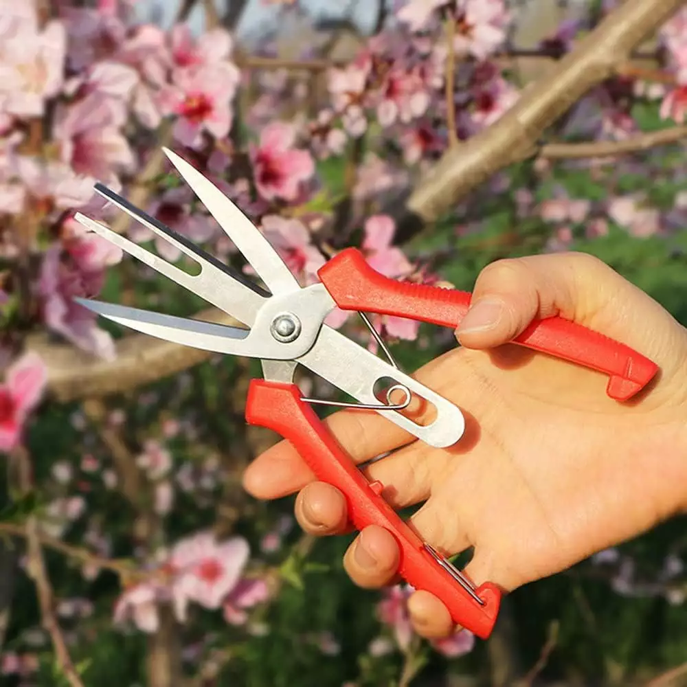ZHXNE Dual Port Fruit and Flower Thinning Scissors. Garden Pruning Shears Scissors Cozy Handle. Perfect Pruning Plants. Hy...