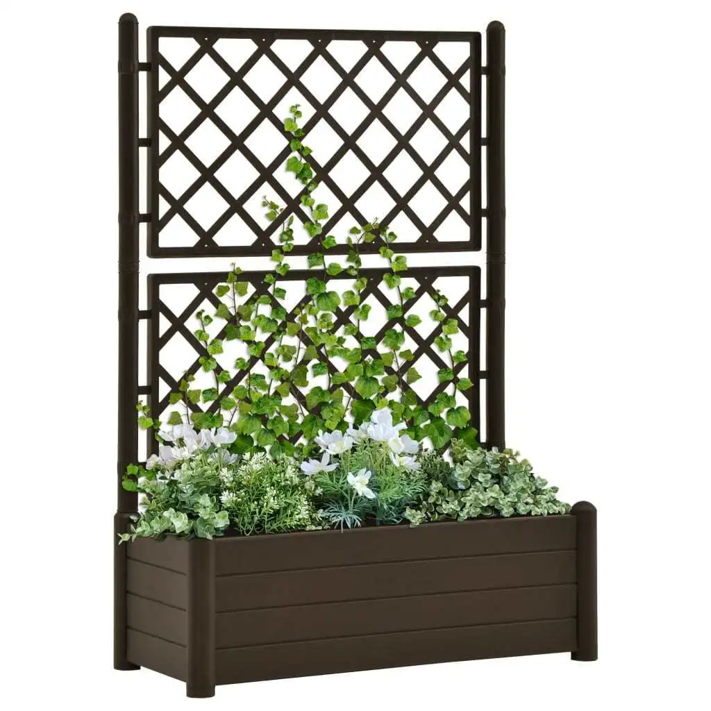 Solid Acacia Wood Garden Raised Bed Trellis Climbing Plants and Flowers Phoenix Dropship