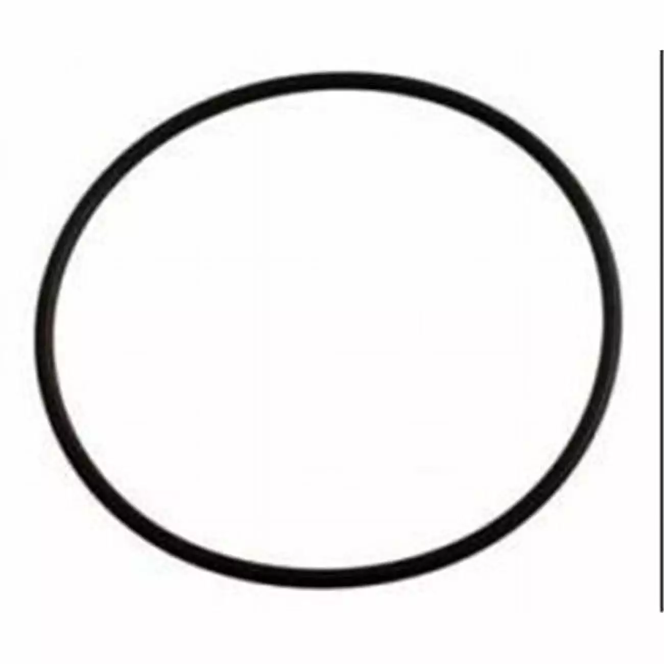 Pentair 350166 Eq Lid Gasket Replacement Pool Pumps
