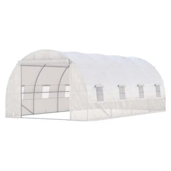20x10x9 Large Walk- Greenhouse Roll Up Door and 8 Closeable Windows Weather PE Cover Phoenix Dropship