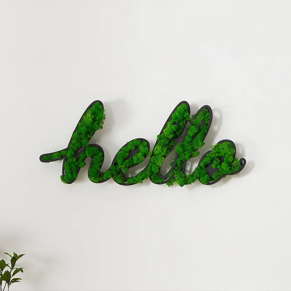 Hello Letter Art Moss Wall Decor Green Iron Hanging Sign Home and Office Decoration rnb